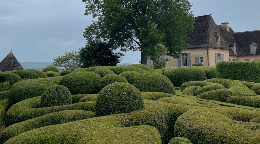 Expat Diaries: Half a Year in France
